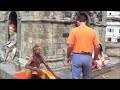 Sirsasana with sadhus