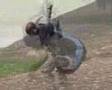 Learn to paraglide