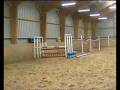 Qapitaine Boy 2 - Showjumping horse for sale.mpg