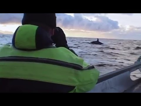 Imagen de previsualización de YouTube