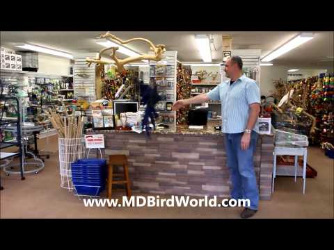 how to train as a pwp