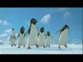 Rap dos pinguins Rap dos pinguins