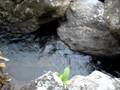 videos de Cachoeira em Lumiar