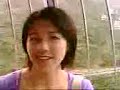 ocean park; inside cable car; mo liu conversation