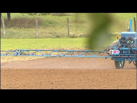 Glyphosat: Demo gegen Monsanto-Kauf durch Bayer in Ly ...