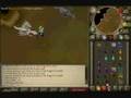 Dark Ace 515: Brimhaven Metal Dragons