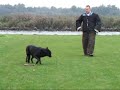 PHDC De Sluus: oefenmiddag