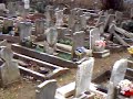 this whole area encompasses the possibilities of where annie chapman, 2nd canonical victim of jack the ripper is buried - though it has been buried twice over since 1888.