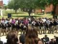ASU ALPHA PHI ALPHA SPRING 2K9 NEO LINE PT3