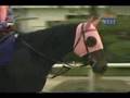 '07有馬記念　ﾄﾚｾﾝﾘﾎﾟｰﾄ　～ｲﾝﾃｨﾗｲﾐ～