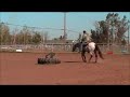 2004 ApHC Mare by The Pleasure Chip for sale