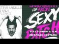 Steve Angello, AN21 & Guetta - Sexy Flonko Bitch (Dj Brille Bootleg)