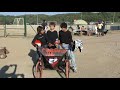 Andromines.mp4 - free flv video @ vwatch.tv