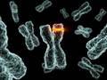 Positive Selection: Is the Human Genome Evolving?