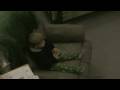 videos de Christmas video 11