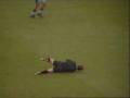STUPID-REFEREE-MUSE-