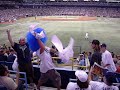  Tampa Bay Rays Major League Baseball win Cowbell Kid Boston Red Sox Nation Tropicana Field