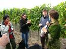 A Day at Dobogó Winery - Tokaj, Hungary