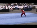 Wushu Toronto 2009 I Taolu I Qiang Shu I Pierre Rouviere [FRA]