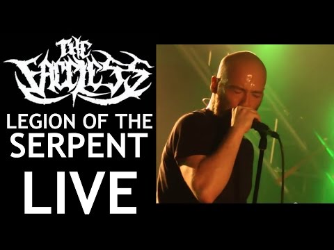 The Faceless, Legion of the Serpent,Live HD,Dec 3 2012,St Catharines Ont