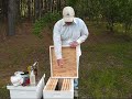 Bees for beginners part 1
