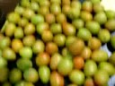 LOT#8087 TOMATOES ROMA SML JAMMS FARMS LOT#8087 TOMATOES ROMA SML JAMMS FARMS