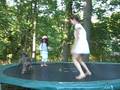 videos de Dogbook Movie: Ollie on the Trampoline