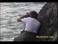 Fight To Save Pilot Whales