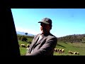 Elliniki Periferia-voskos-Sheep keeper on the way to Smokovo