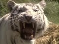 Bioparque Temaik�n
