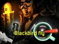 Blackbird - The Beatles (cover)