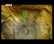 C�wan haco -Zilan(klip)