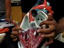 Heart Part I