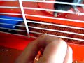 mini ratas mini ratas