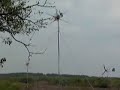 our micro wind farm