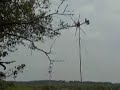 our micro wind farm