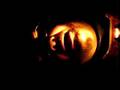videos de Why I Like FRIGHT-RAGS Horror T-Shirts : Video 18