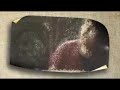 Scouting For Girls - She's So Lovely 10sec ad