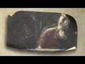 Scouting For Girls - She's So Lovely 10sec ad