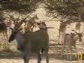 Pete's Pond: Eland Herd