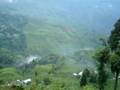 Darjeeling, India