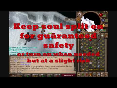 skeletal renewal - A guide to skeletal wyverns, one of the most avoided yet rewarding tasks in the game, if you are one of those that void this task then please, at least take ...