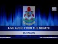 Live Audio: Bermuda Senate in Session