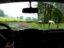 test gamme iveco manhay test gamme iveco manhay