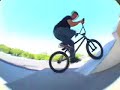 animal 08 insight promo
