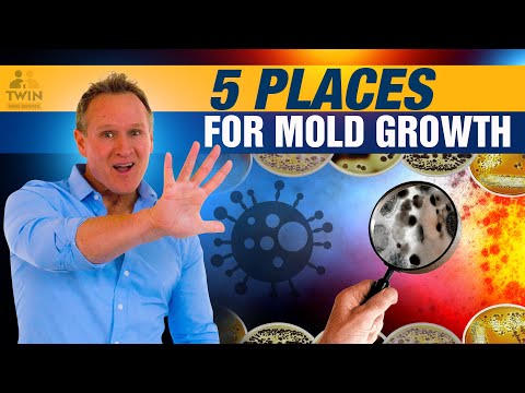 video-linktoworks-You Won't Believe Where Mold Can Grow in Your Home!