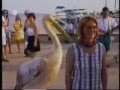 video muy gracioso View Video