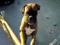 Mpampas tou Roky :)