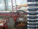 Groente Oogst / lossysteem, Taks trostomaten
