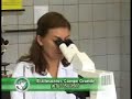 Embrapa Gado de Corte 2